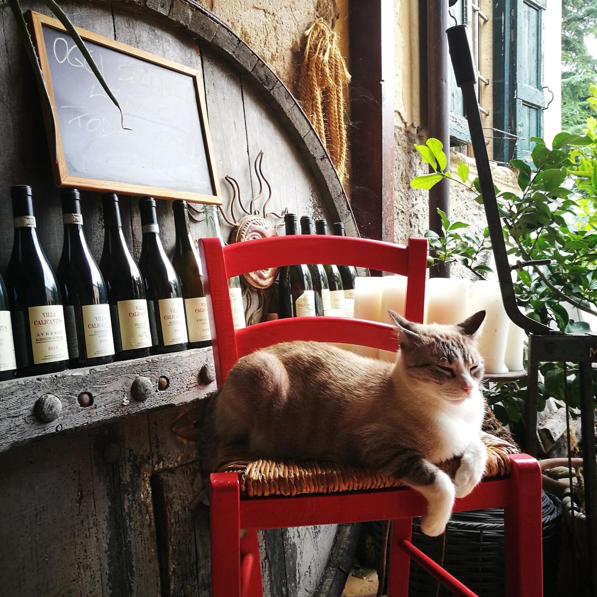 Villa Calicantus 바르돌리노 외부 사진